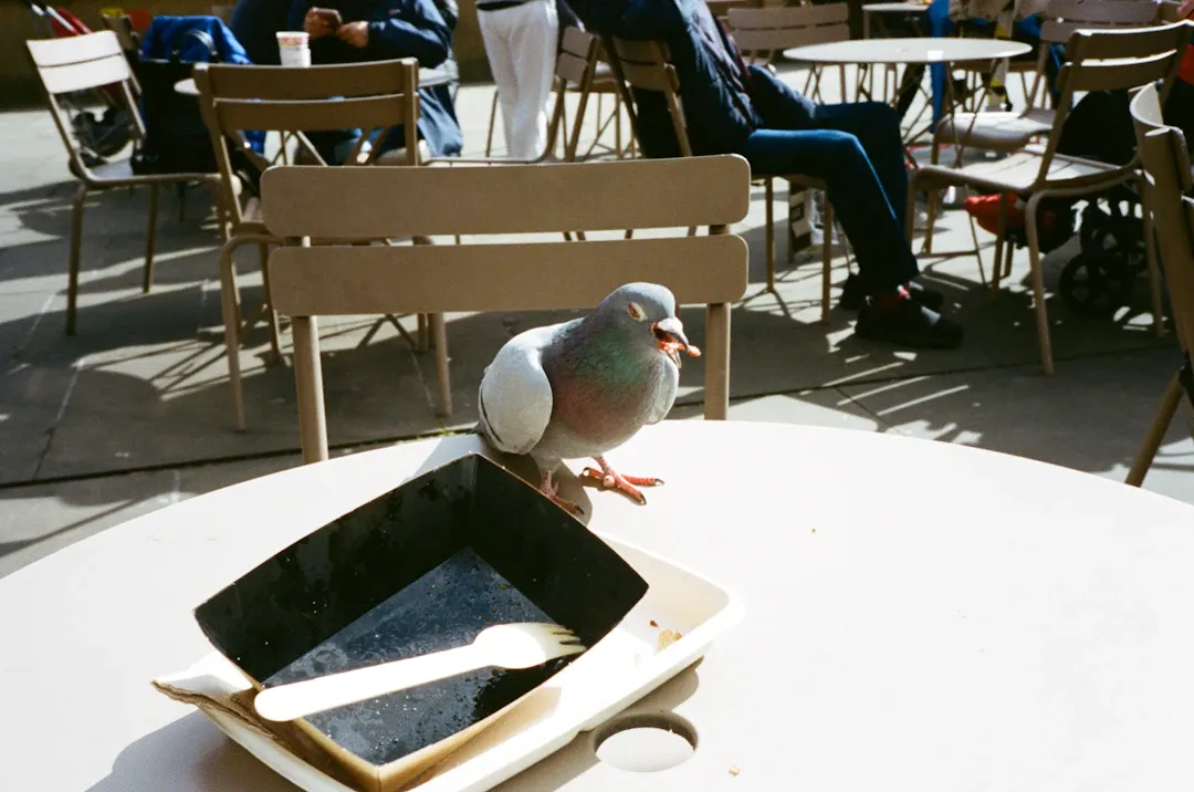 セキュリティ対策