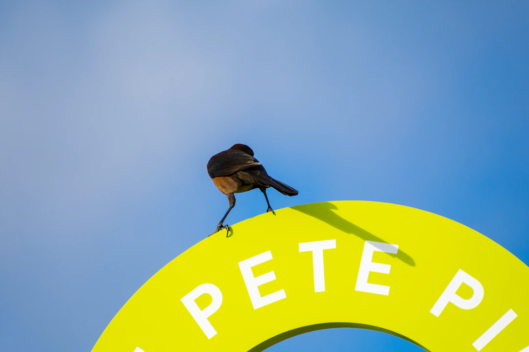 日常メンテナンスの方法